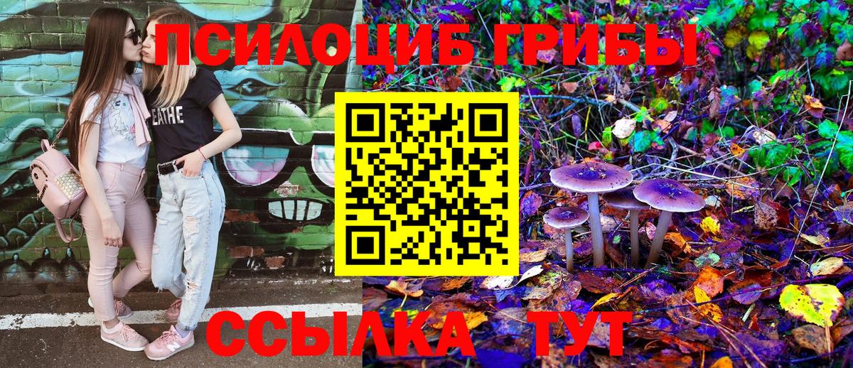 Псилоцибиновые грибы Cubensis  Псилоцибиновые грибы ЛСД  где купить наркоту  Вход с VPN  Мценск 